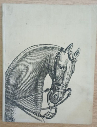 Barmintseva - Ltenyszts s lovassport (orosz nyelv)