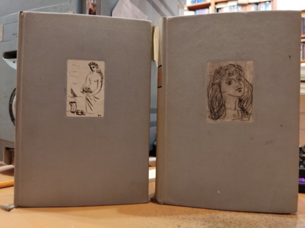 Ady Endre összes versei + összes novellái (2 kötet)