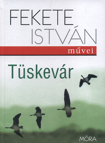 Fekete Istvn - Tskevr