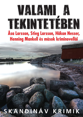 John-Henri Holmberg  (szerk.) - Valami a tekintetben