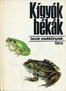 Janisch-Zsmboki - Kgyk, bkk(bvr)