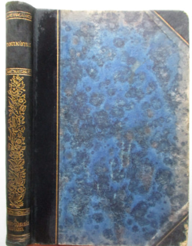 Pet�fi-t�rsas�g - Tanulm�nyok