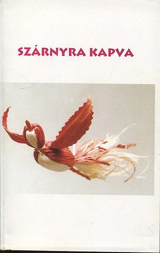 Dr. Pet Zoltn  (szerk.) - Szrnyra kapva
