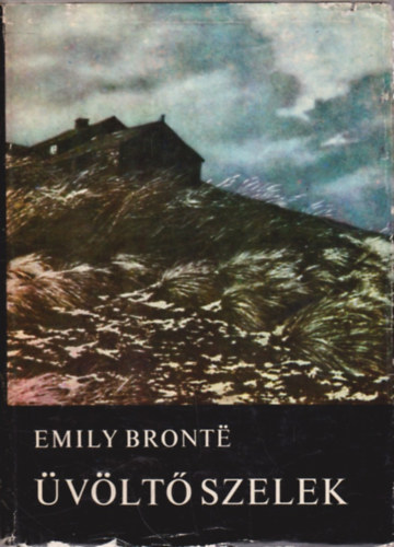 Emily Bronte - vlt szelek