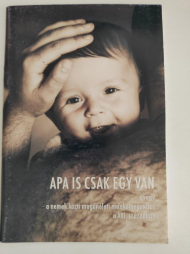 Apa is csak egy van, avagy a nemek k�zti mag�n�leti munkamegoszt�s a XXI. sz�zadban