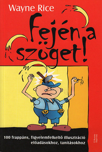 Wayne Rice - Fej�n a sz�get - 100 frapp�ns, figyelemfelkelt� illusztr�ci� el�ad�sokhoz, tan�t�sokhoz