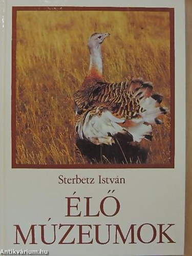 Sterbetz Istvn - l mzeumok
