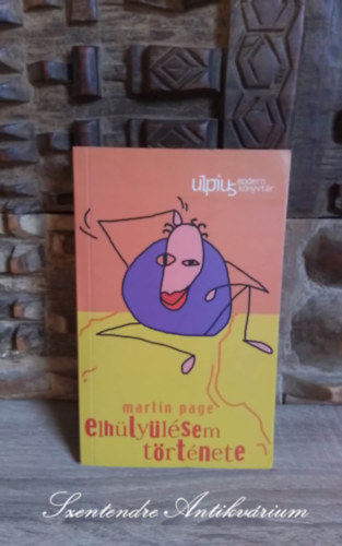 Martin Page - Elhülyülésem története (Comment je suis devenu stupide)