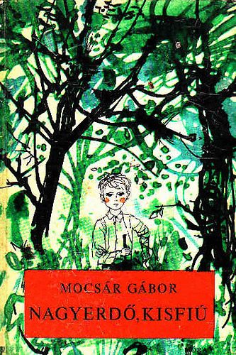 Mocsr Gbor - Nagyerd, kisfi