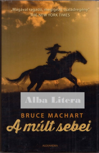 Bruce Machart - A mlt sebei
