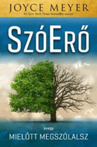 Joyce Meyer - SzEr