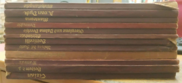 12 db K�nstler-Monographien: Michelangelo + A. Van Dyck + Mantegna + Verrocchio + Giorgione und Palma Vecchio + Ghirlandaio + Botticelli + Andrea del Sarto + Ludwig Richter + Watteau + Holbein der J�ngere + Tizian