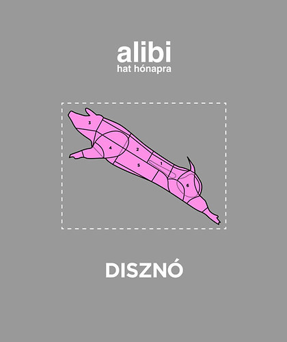 Alibi hat hnapra 11. - Diszn