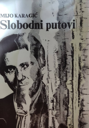 Mijo Karagic - Mijo Karagic - Slobodni putovi (Ingyenes utak)