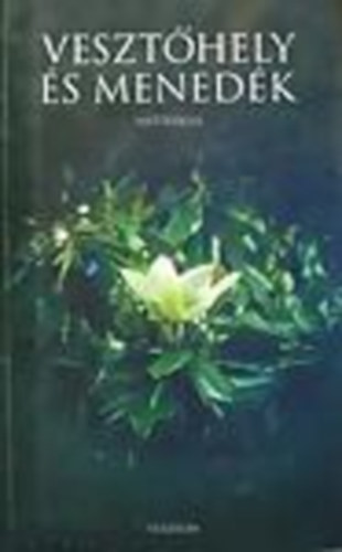 K�rp�ti Kamil  (szerk.) - Veszt�hely �s mened�k