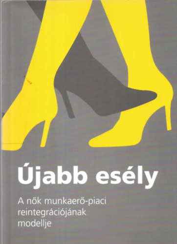 Szoboszlai Zsolt-Nagyn Varga Ilona  (szerk.) - jabb esly - A nk munkaer-piaci reintegrcijnak modellje