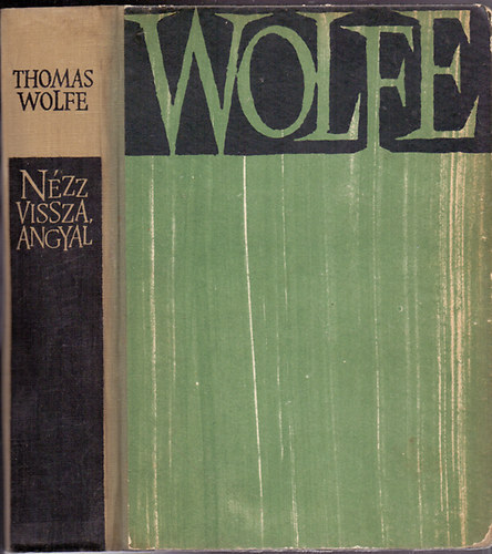 Thomas Wolfe - Nézz vissza angyal