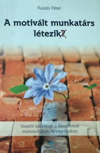 Kasz�s P�ter - A motiv�lt munkat�rs l�tezik?