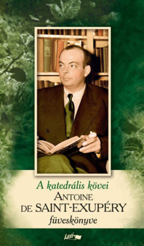 Antoine de Saint-Exupéry - A katedrális kövei - Saint-Exupéry füveskönyve