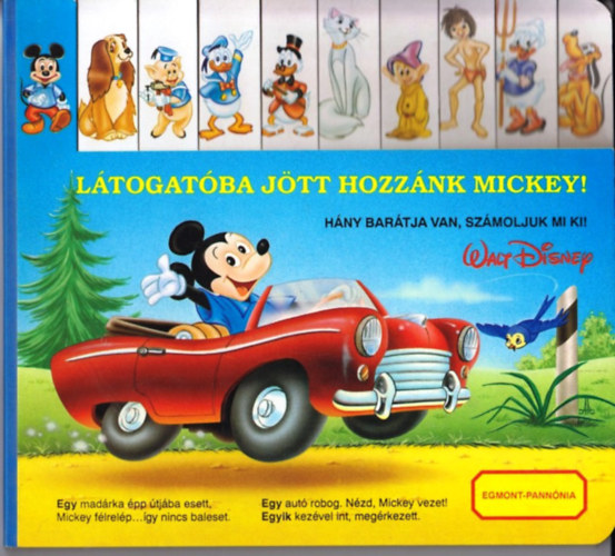 Ltogatba jtt hozznk Mickey!