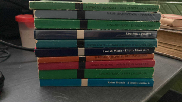 Dieter Forte, Ingrid Bergman Leon de Winter - 10 db a Modern knyvtr sorozatbl