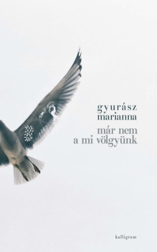 Gyurász Marianna - Már nem a mi völgyünk