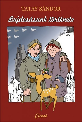 Tatay Sándor - Bujdosásunk története