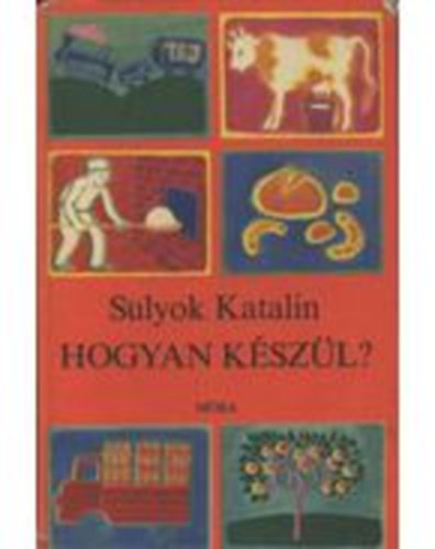 Sulyok Katalin - Hogyan kszl?