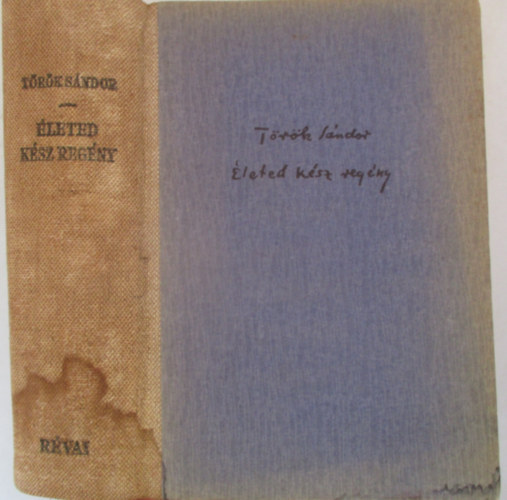 Török Sándor - Életed kész regény